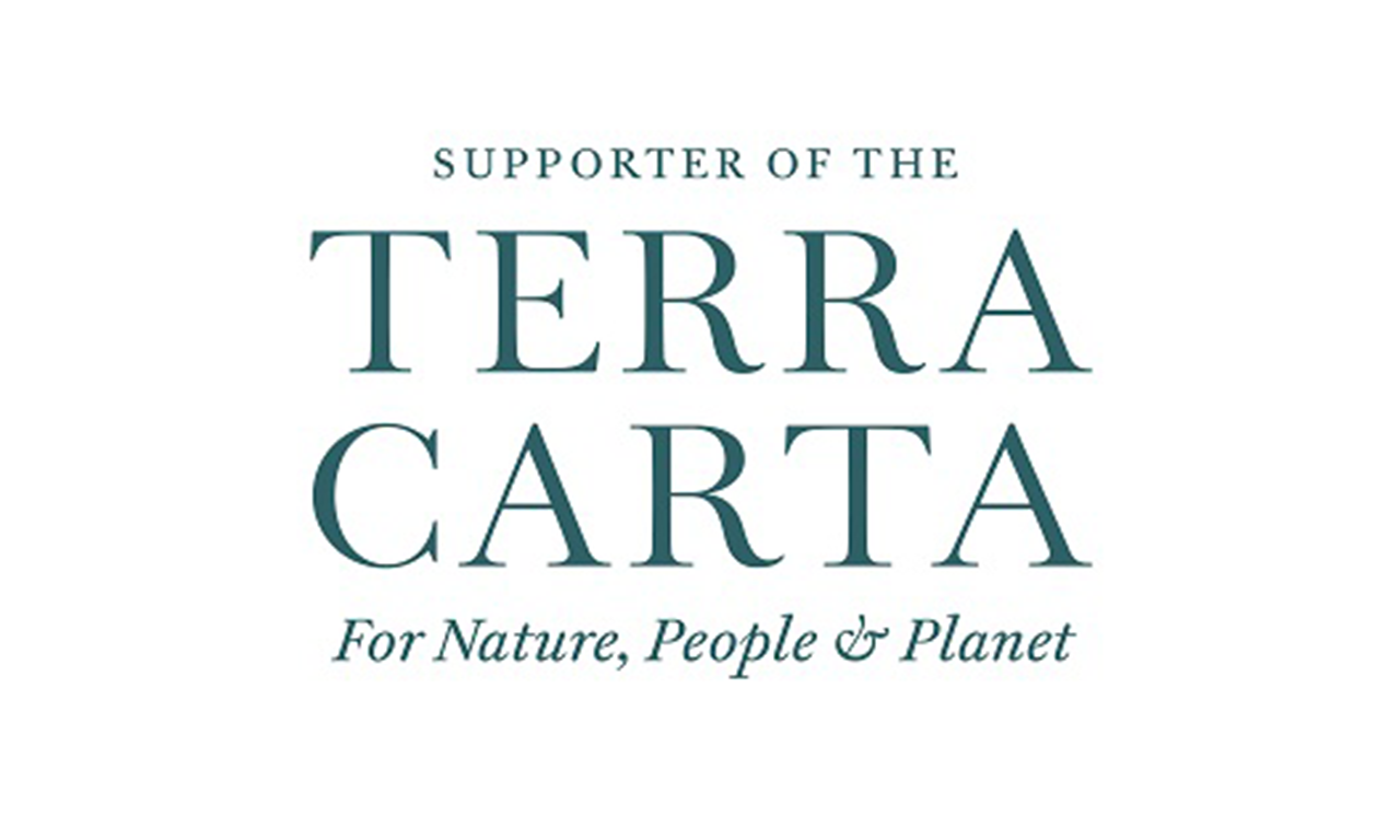 Terra Carta logo