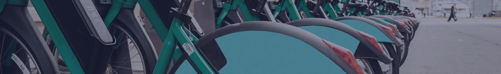 Sharing economy risk