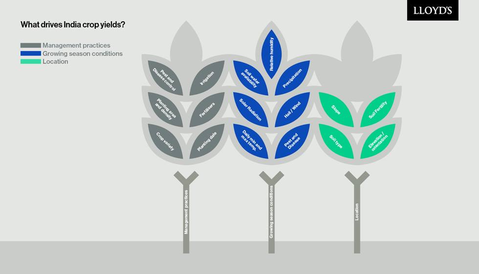 What drives India crop yields